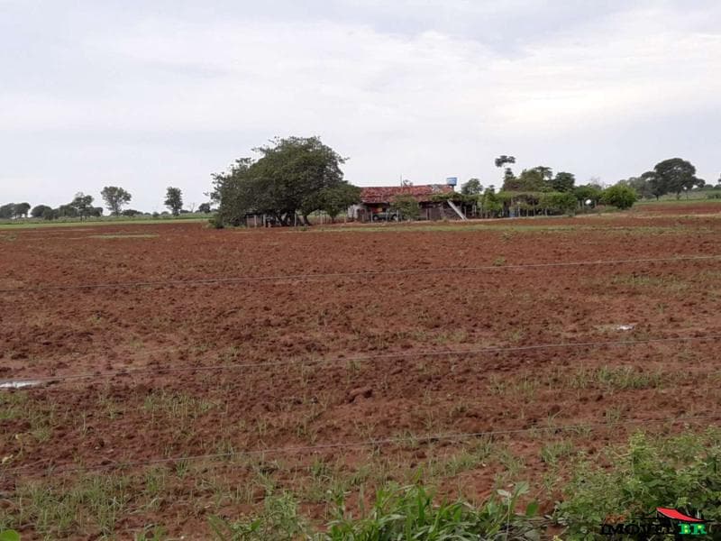 Fazenda em Cocalinho -MT