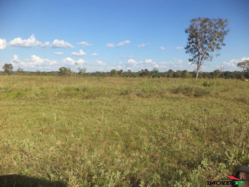 Fazenda 1.064 hectares — foto 3