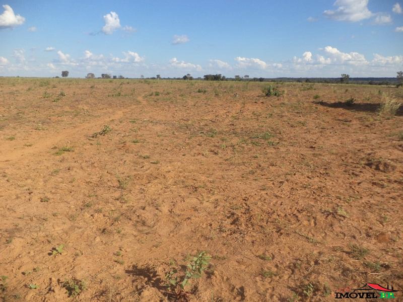 Foto principal: Fazenda 1.064 hectares