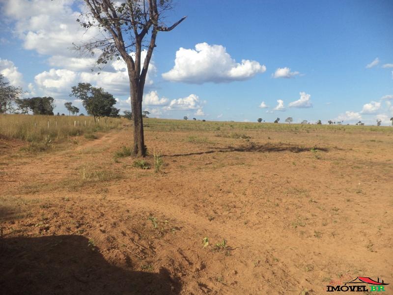 Fazenda 1.064 hectares — foto 2