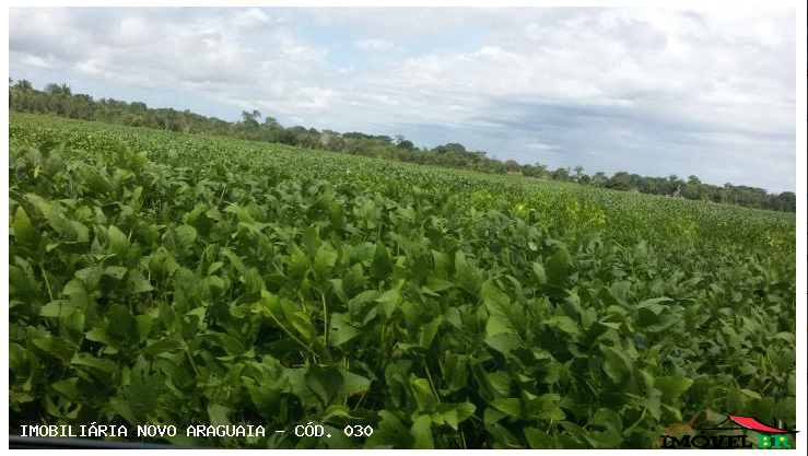 Fazenda para Agricultura — foto 2