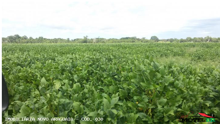 Foto principal: Fazenda para Agricultura