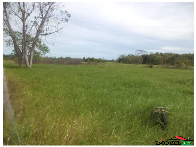 Foto principal: Fazenda para Pecuária