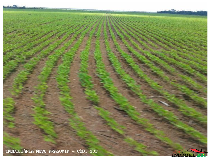 Fazenda Agricultura — foto 2