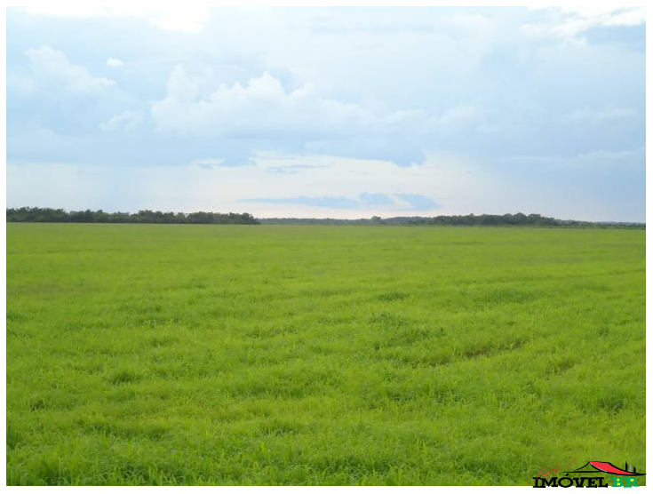 Fazenda — foto 2