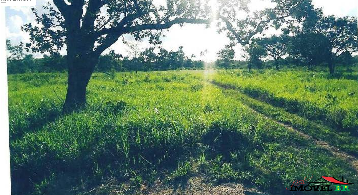 Foto principal: Fazenda em São Félix do Araguaia