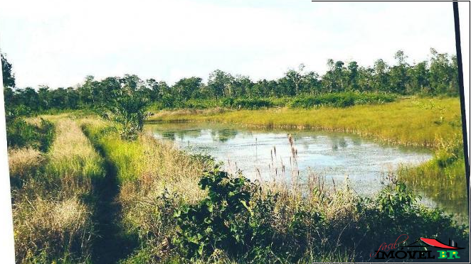 Fazenda em São Félix do Araguaia — foto 3