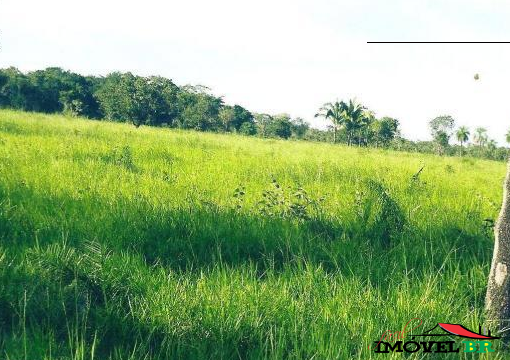 Fazenda em São Félix do Araguaia — foto 2