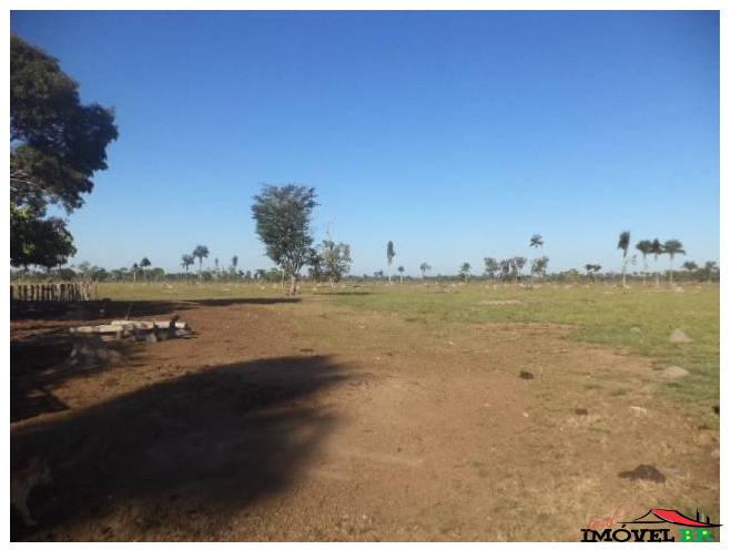 Fazenda — foto 3