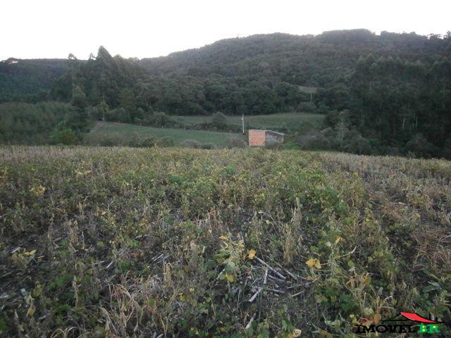 Terreno para lavoura — foto 3
