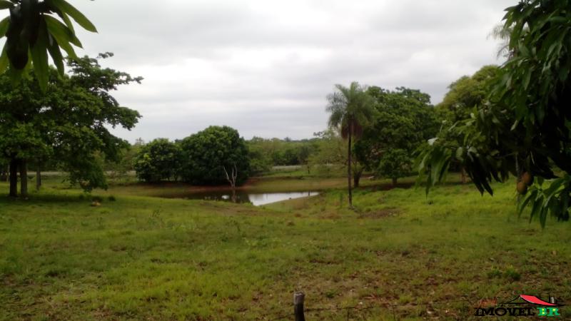 Foto principal: FAZ. DE 126 HA EM POCONE, MORAR OU INVESTIR!
