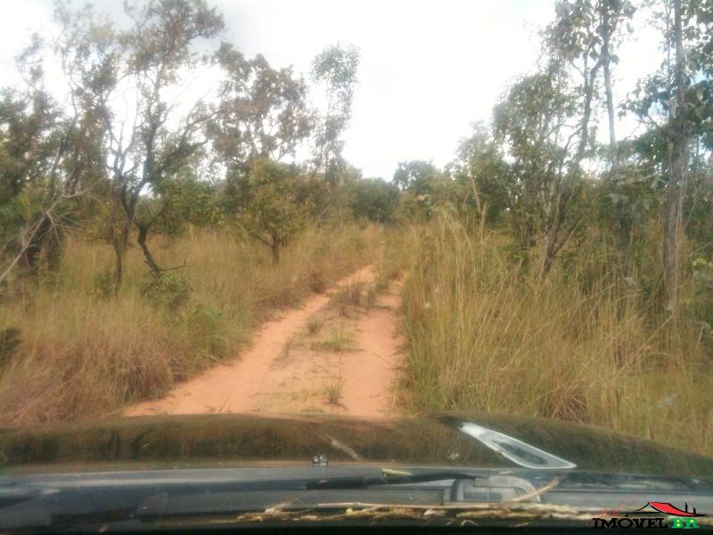 Fazenda excelente preço 223 alqueires, por 500 mil reais, km da TO 425 — foto 2