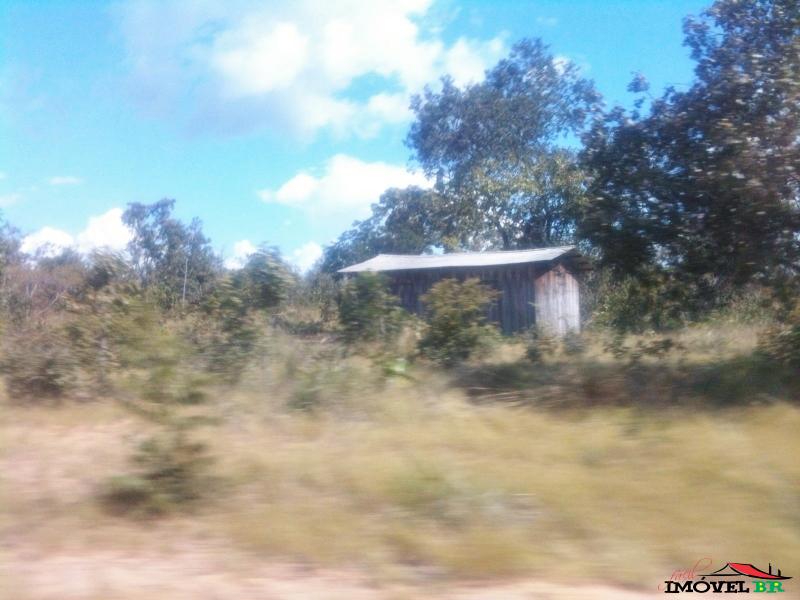 Fazenda excelente preço 223 alqueires, por 500 mil reais, km da TO 425 — foto 3