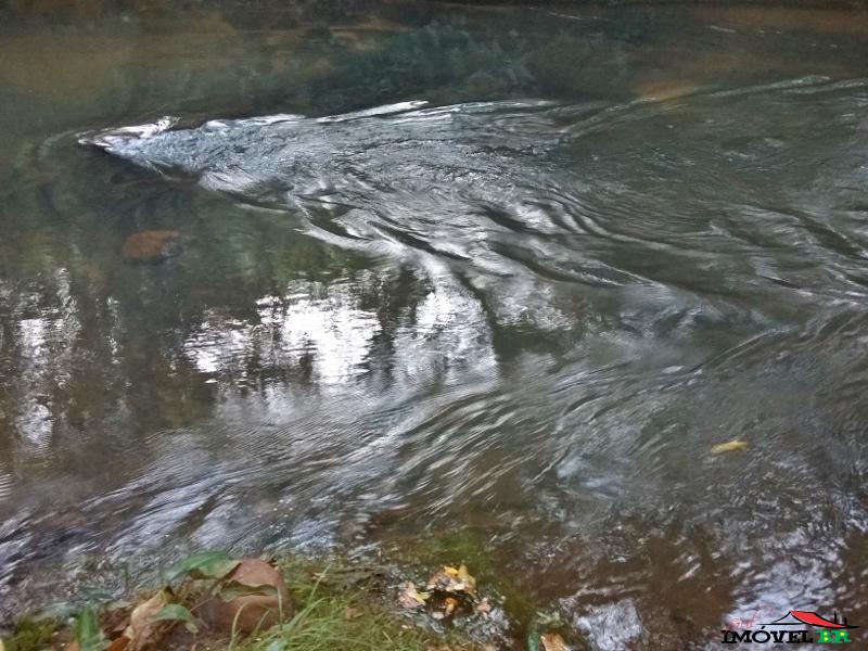 Foto principal: Fazenda p/ gado a 16 mil no alqueires, dupla aptidão, Monte do Carmo,