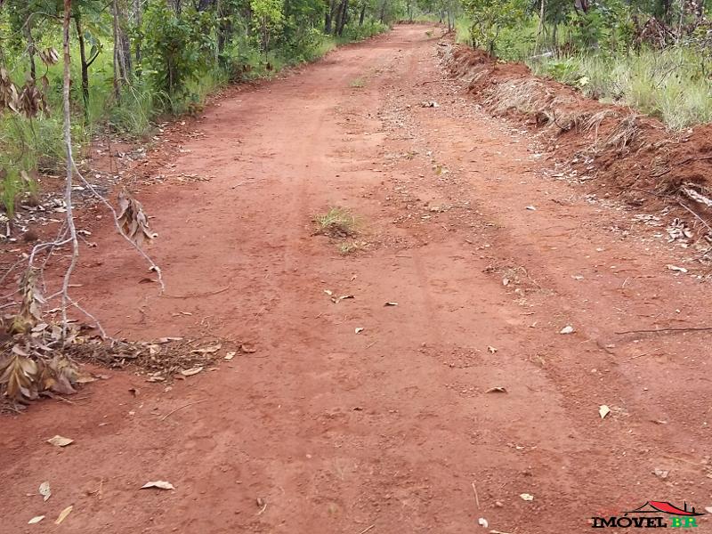 Fazenda dupla aptidão, 301 alqueires, 15 mil o alqueire — foto 2