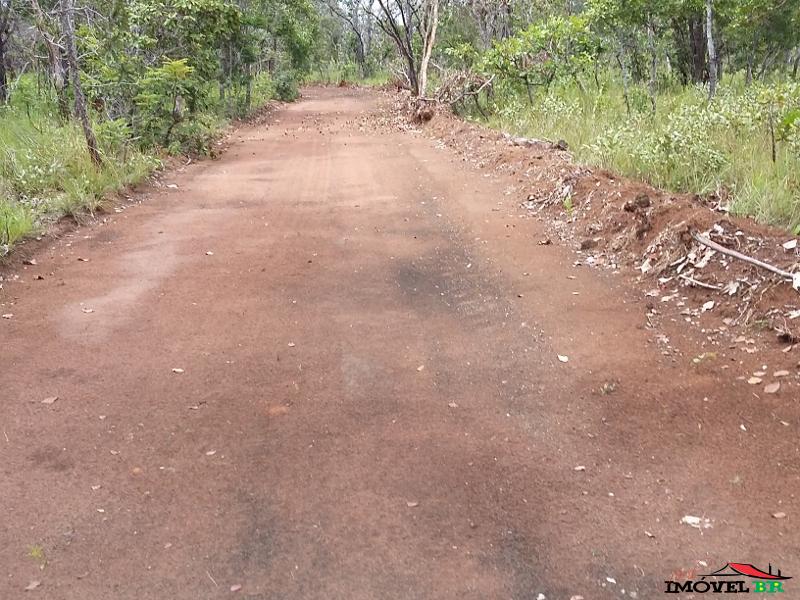 Fazenda dupla aptidão, 301 alqueires, 15 mil o alqueire — foto 3