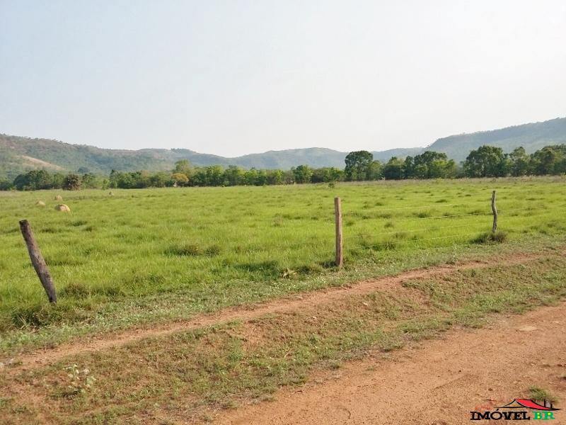 Fazenda para gado culturão, porto nacional, tocantins, 250 alqueires, — foto 3