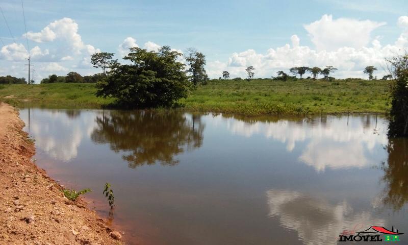 Fazenda de 185 alqueires a 43 mil reais o alqueire c/ reserva fora de — foto 3
