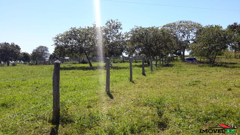 OPORTUNIDADE! FAZENDA DE 500 HA PRONTA! — foto 2