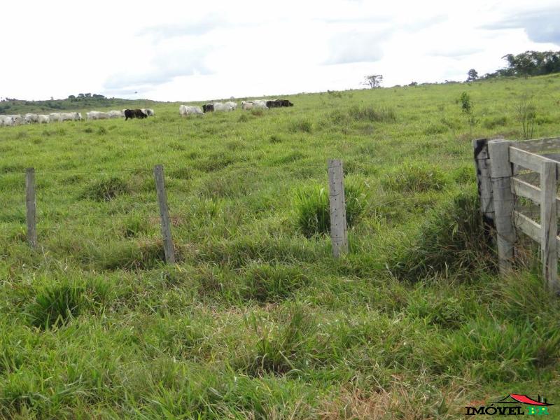Foto principal: Fazenda a Venda em Alta Floresta - MT