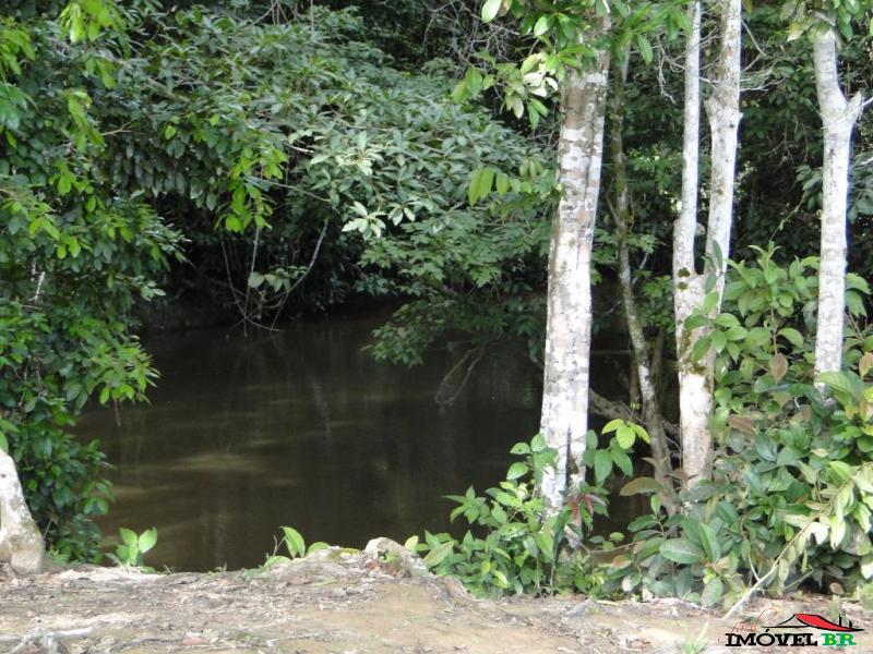Fazenda a Venda em Alta Floresta - MT — foto 2