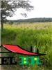 Fazenda a Venda em Peixoto de Azevedo - MT — foto 3