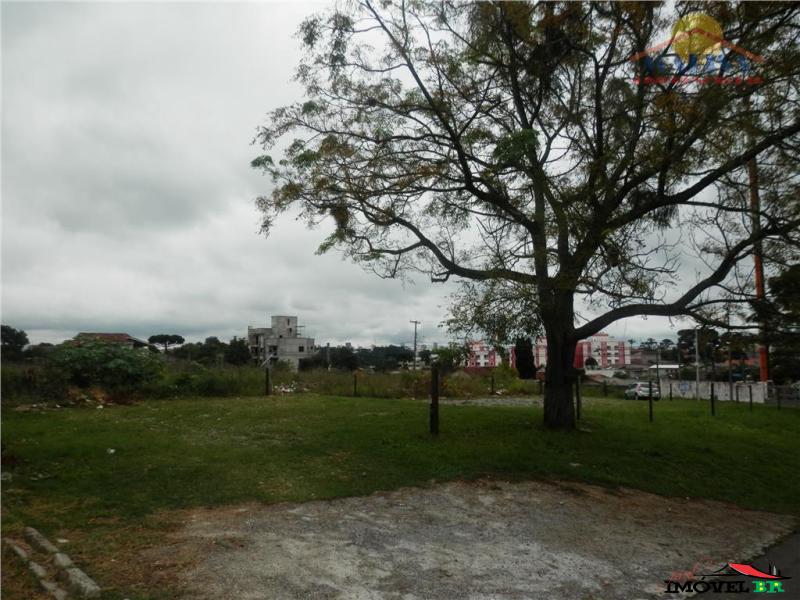EXCELENTE TERRENO — foto 2