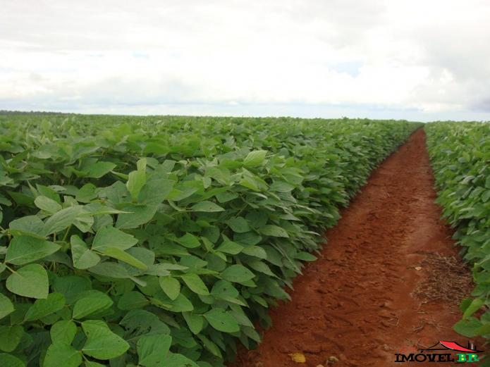 Foto principal: FAZENDA DE 12.545 HA EM PRIMAVERA DO LESTE MT CAPITAL DA SOJA!