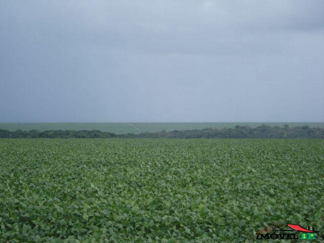 FAZENDA DE 12.545 HA EM PRIMAVERA DO LESTE MT CAPITAL DA SOJA! — foto 3
