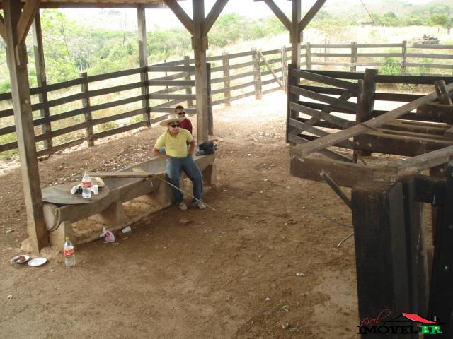 FAZENDA COM 350 HA NA BR 070 NOSSA SENHORA DO LIVRAMENTO-MT. — foto 2