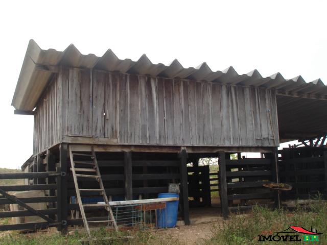 FAZENDA COM 350 HA NA BR 070 NOSSA SENHORA DO LIVRAMENTO-MT. — foto 3