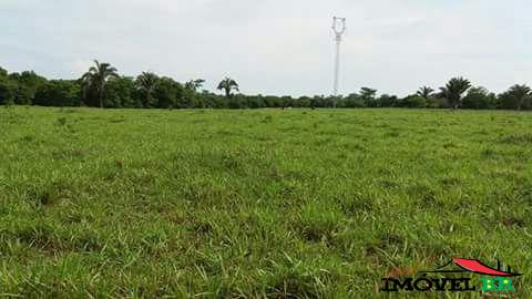 VENDE-SE CHACARA A 6 KM DA CIDADE DE NOBRES — foto 2