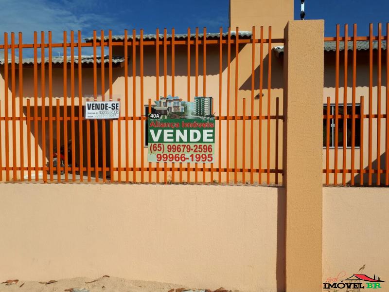 CASA - ARARA AZUL — foto 2