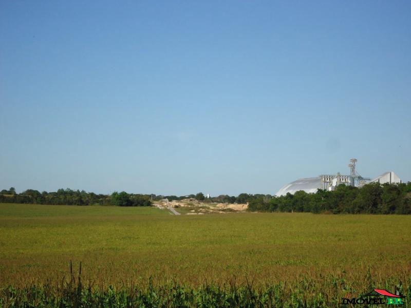 Fazenda Flathi — foto 3