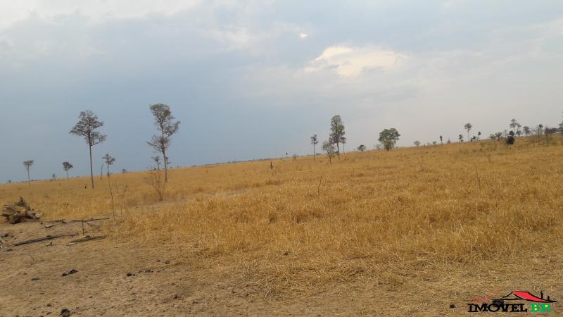 Fazenda Talita — foto 2