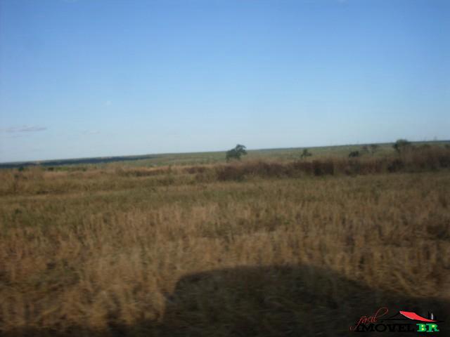Fazenda Curval — foto 3