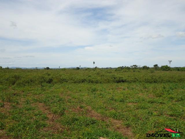 Fazenda Santa Maria — foto 2