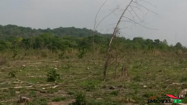 Fazenda — foto 2