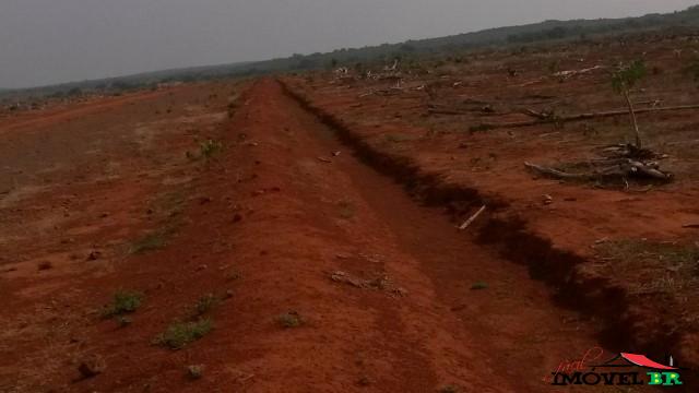 Fazenda — foto 3
