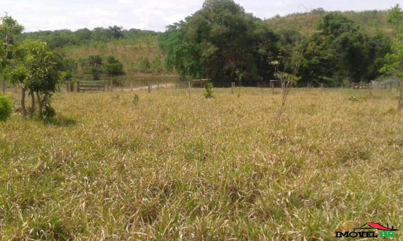 Foto principal: FAZENDA EM ÁGUA BOA - MT Fazenda Vó Pili I