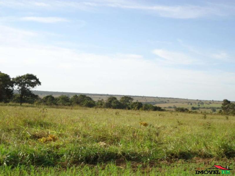 FAZENDA EM CANARANA - MT  (ARAÇATUBA II) — foto 2
