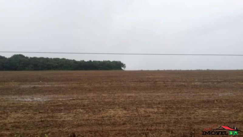 FAZENDA EM CANARANA - MT (Arnaldo Dique) — foto 2