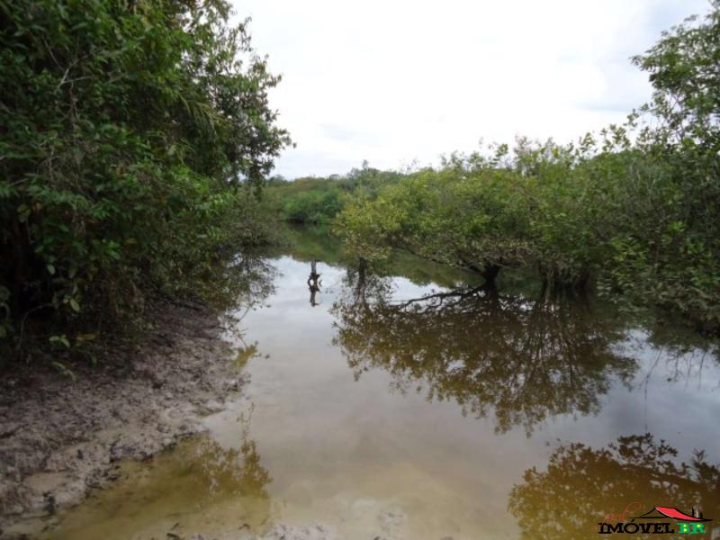 FAZENDA EM CANARANA - MT  (DOIS LAGOS) — foto 2
