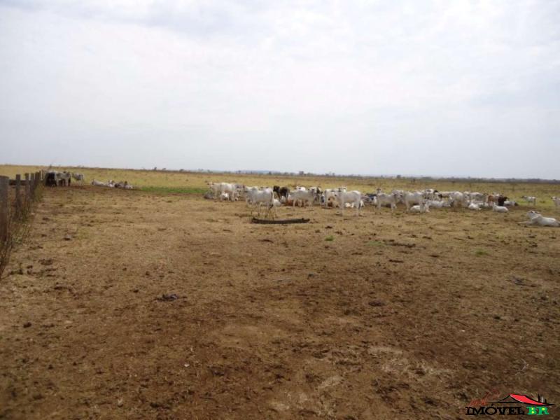 FAZENDA EM CANARANA - MT  (CATALÃO) — foto 2