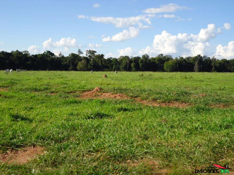 FAZENDA EM CANARANA - MT  (TAUÁ I) — foto 2