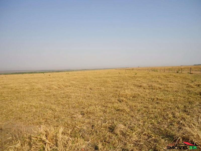 FAZENDA EM CANARANA - MT  (TRIANGULO B) — foto 2