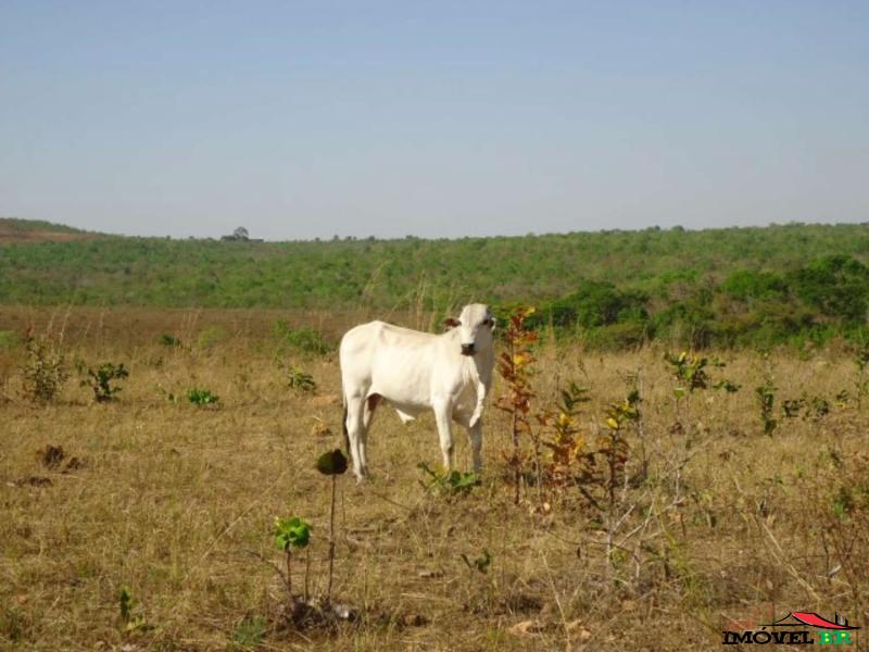 Foto principal: FAZENDA EM GAÚCHA DO NORTE - MT  (COLIZEU)