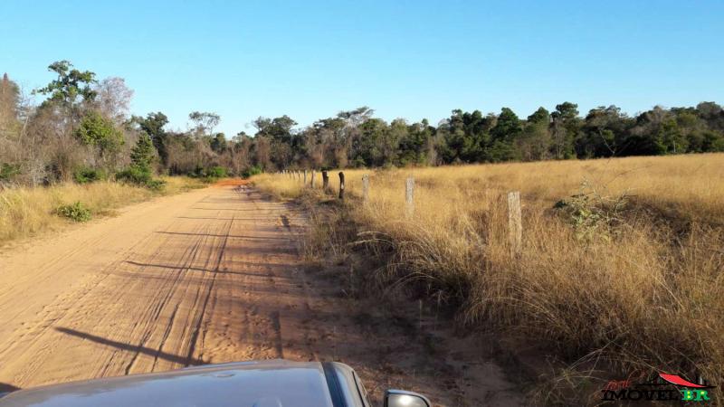FAZENDA EM GAÚCHA DO NORTE - MT  (PARA RECRIA E ENGORDA DE ANIMAIS) — foto 2