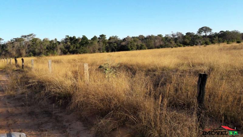 Foto principal: FAZENDA EM GAÚCHA DO NORTE - MT  (PARA RECRIA E ENGORDA DE ANIMAIS)