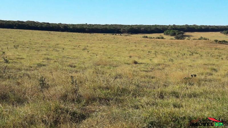Foto principal: FAZENDA EM GAÚCHA DO NORTE - MT  (PRA PAGAR EM 10 DEZ ANOS)